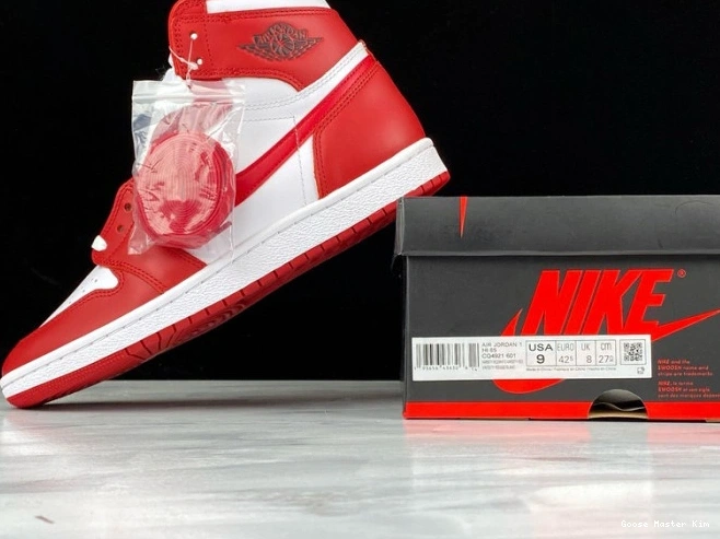 CQ4921-601 '85 Retro Air 'New Beginnings' OG Jordan High 1 0624